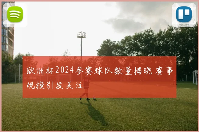 欧洲杯2024参赛球队数量揭晓 赛事规模引发关注