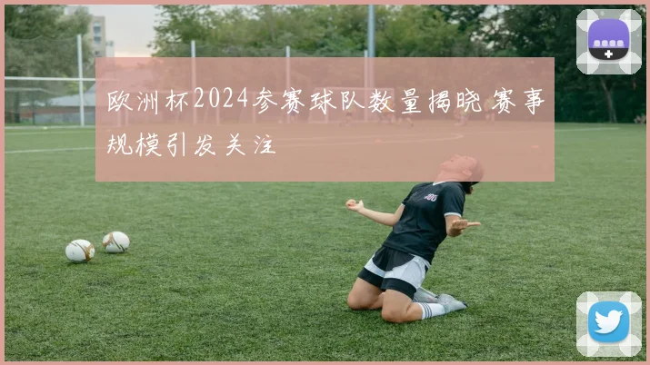 欧洲杯2024参赛球队数量揭晓 赛事规模引发关注