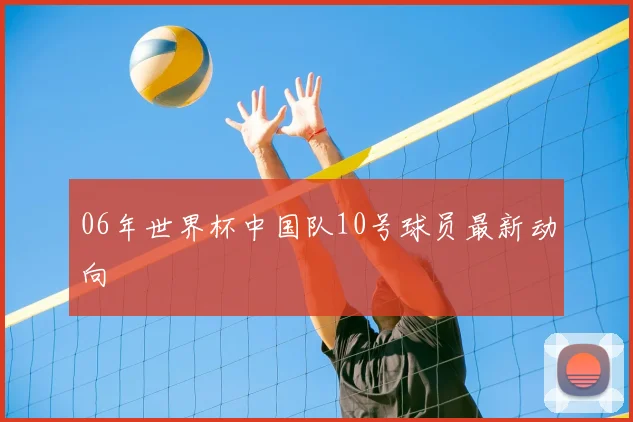 06年世界杯中国队10号球员最新动向