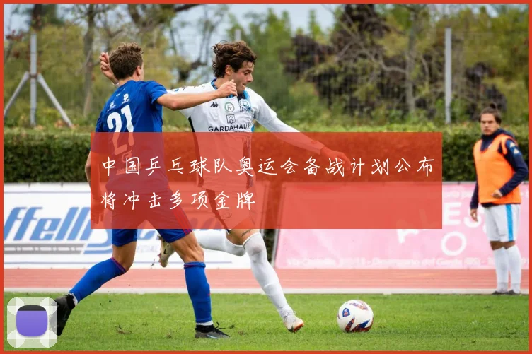 中国乒乓球队奥运会备战计划公布将冲击多项金牌